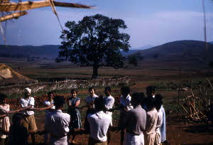 Phyllis, Deopottangi 1957 (India)