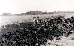 Dienst Tuchheim (1966)